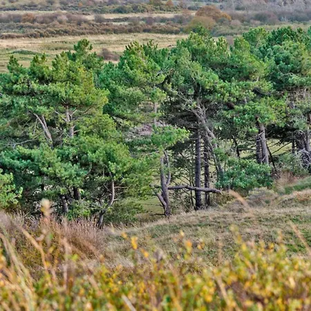 Prinsenhof # Vierentwintig Appartement