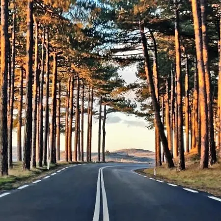 Prinsenhof # Vierentwintig * ברחן