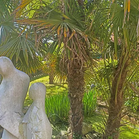 Prinsenhof # Vierentwintig * Bergen