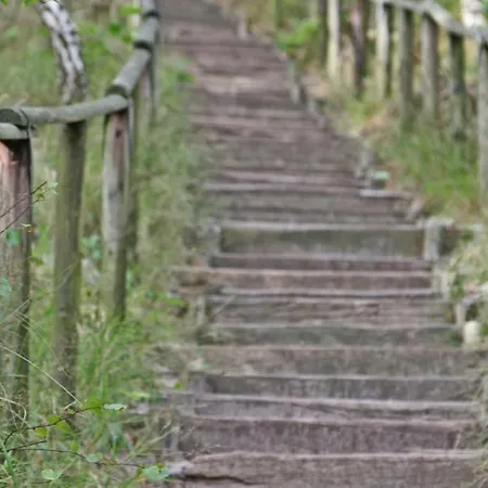 דירה Prinsenhof # Vierentwintig ברחן