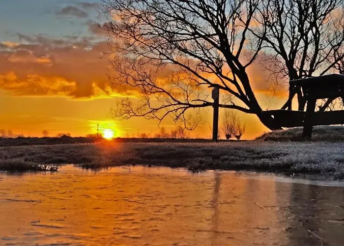 Prinsenhof # Vierentwintig Appartement Bergen