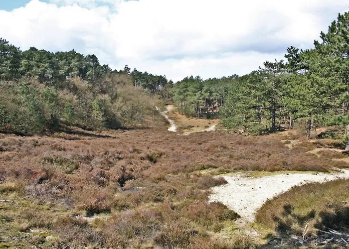 Prinsenhof # Vierentwintig Appartement Bergen